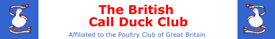 British Call Duck Club
